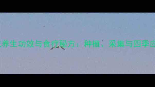 图片 盘丝桂花养生功效与食疗秘方：种植、采集与四季应用指南1