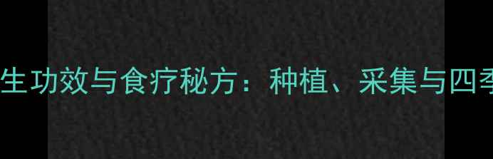 图片 盘丝桂花养生功效与食疗秘方：种植、采集与四季应用指南2