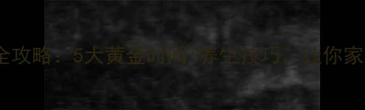 图片 石榴树嫁接全攻略：5大黄金时间+养生技巧，让你家石榴年年红2