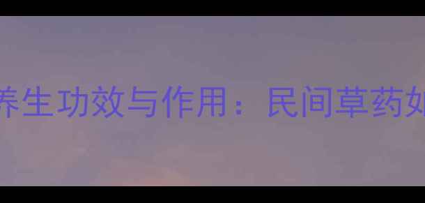 图片 石莒蒲的15种养生功效与作用：民间草药如何守护健康？