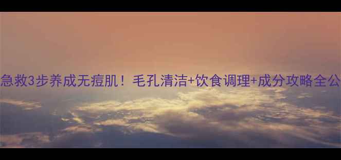图片 祛痘急救3步养成无痘肌！毛孔清洁+饮食调理+成分攻略全公开✨