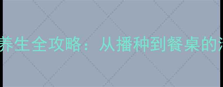 图片 秋莴笋种植与养生全攻略：从播种到餐桌的清热解毒之道2