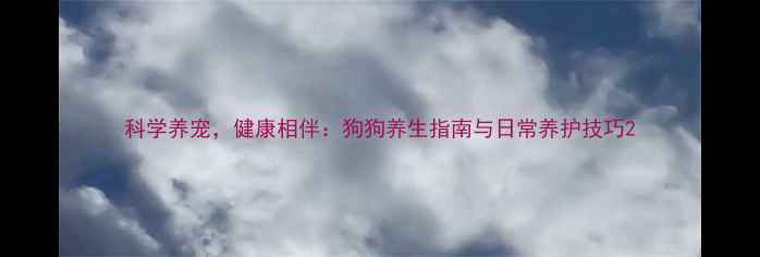 图片 科学养宠，健康相伴：狗狗养生指南与日常养护技巧2