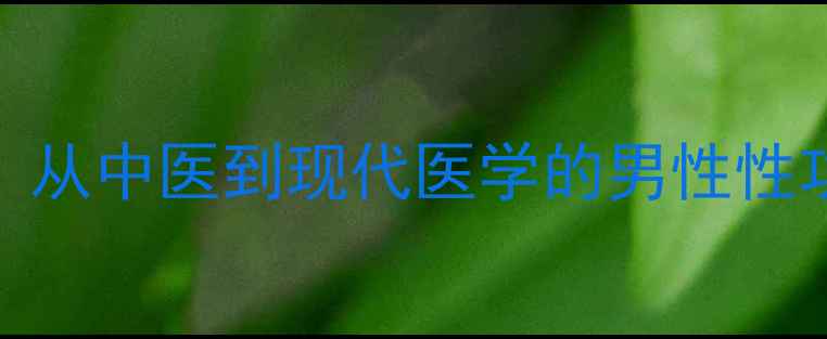图片 科学养生指南：从中医到现代医学的男性性功能提升全攻略