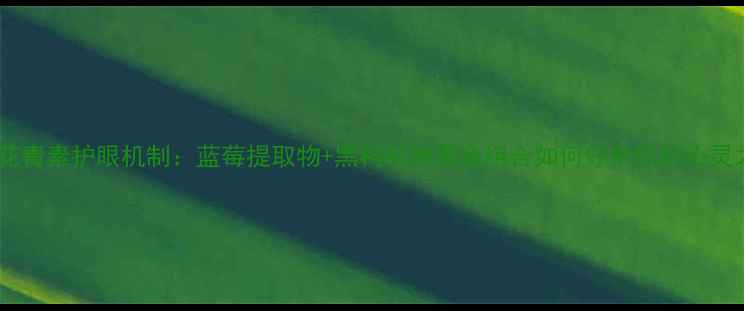 图片 科学花青素护眼机制：蓝莓提取物+黑枸杞的黄金组合如何守护你的心灵之窗2