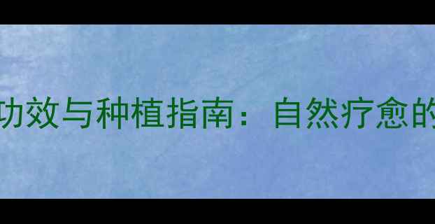 图片 竹子养生功效与种植指南：自然疗愈的绿色财富
