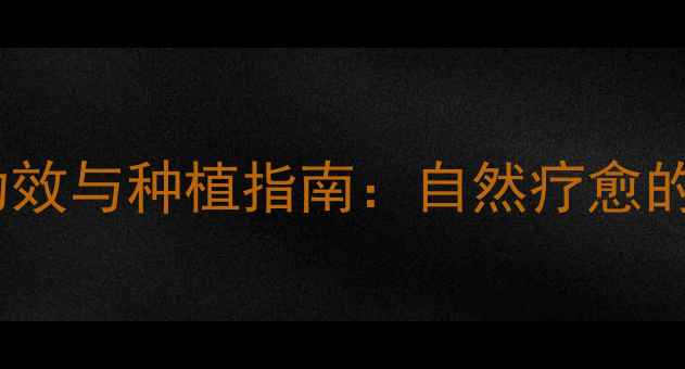 图片 竹子养生功效与种植指南：自然疗愈的绿色财富2