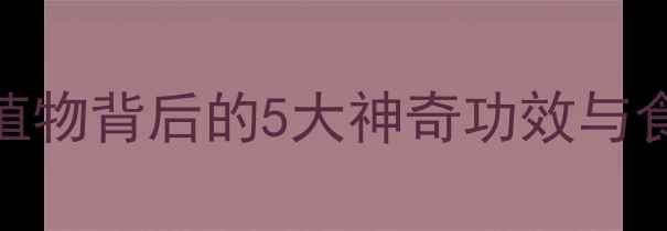 图片 竹孙养生秘籍：天然植物背后的5大神奇功效与食用指南｜附详细食谱