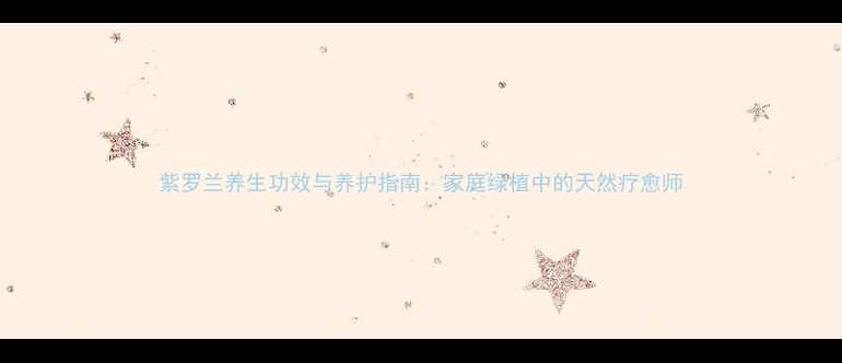 图片 紫罗兰养生功效与养护指南：家庭绿植中的天然疗愈师