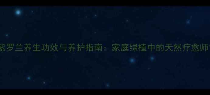 图片 紫罗兰养生功效与养护指南：家庭绿植中的天然疗愈师1
