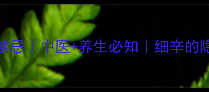 图片 细辛功效与作用及禁忌｜中医+养生必知｜细辛的隐藏禁忌与正确用法