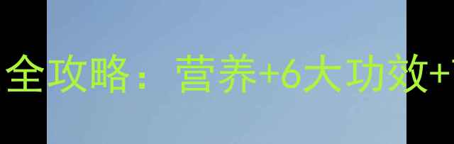 图片 绿豆粉丝养生全攻略：营养+6大功效+7种创意吃法1