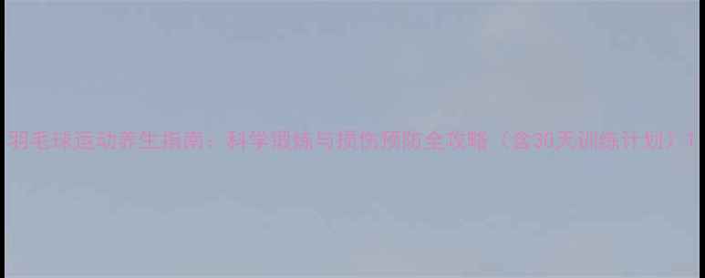 图片 羽毛球运动养生指南：科学锻炼与损伤预防全攻略（含30天训练计划）1