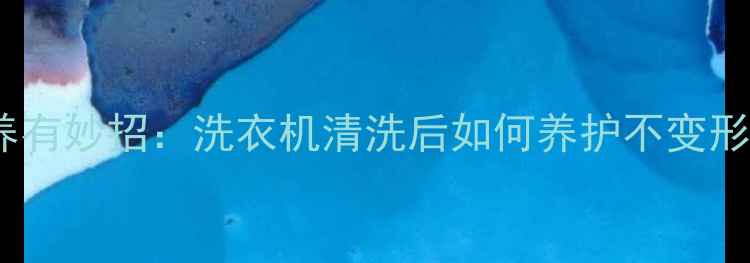 图片 羽绒服保养有妙招：洗衣机清洗后如何养护不变形不结块？1