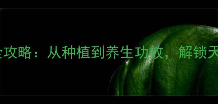 图片 翠云草家庭养殖全攻略：从种植到养生功效，解锁天然保健新方式！2