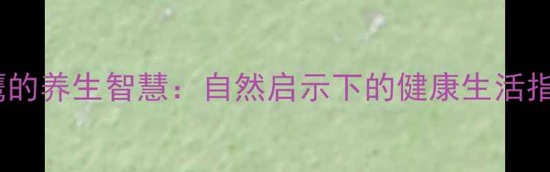 图片 老鹰的养生智慧：自然启示下的健康生活指南1