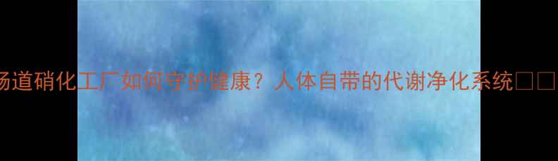 图片 肠道硝化工厂如何守护健康？人体自带的代谢净化系统💊🌱2