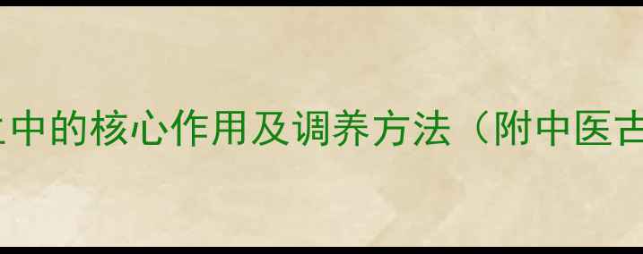 图片 脾脏在养生中的核心作用及调养方法（附中医古籍原文）2