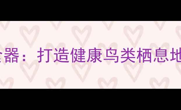 图片 自制生态养生鸟自动喂食器：打造健康鸟类栖息地的自然疗法与制作指南1