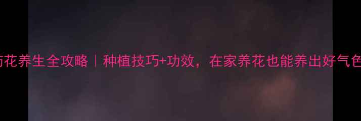 图片 芍药花养生全攻略｜种植技巧+功效，在家养花也能养出好气色！1