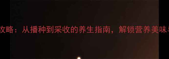图片 苋菜种植全攻略：从播种到采收的养生指南，解锁营养美味与食疗功效1