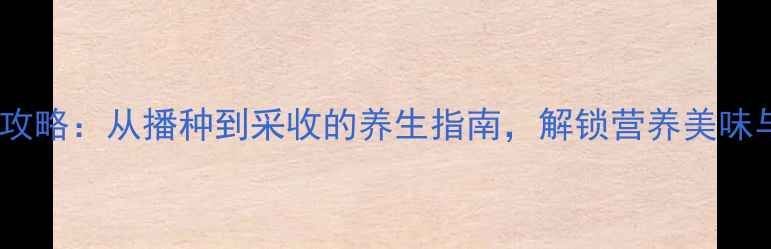 图片 苋菜种植全攻略：从播种到采收的养生指南，解锁营养美味与食疗功效2