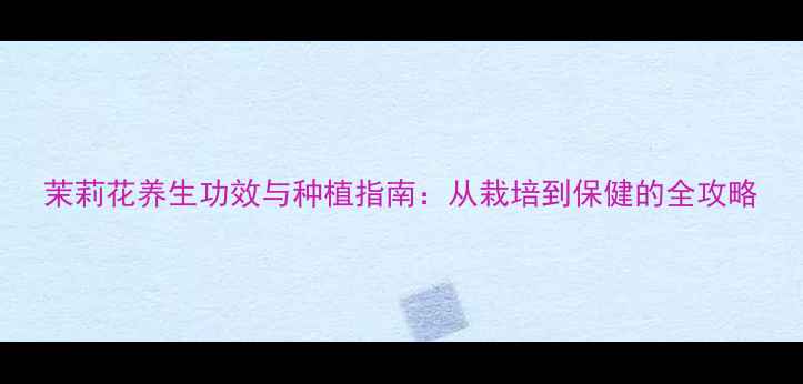 图片 茉莉花养生功效与种植指南：从栽培到保健的全攻略