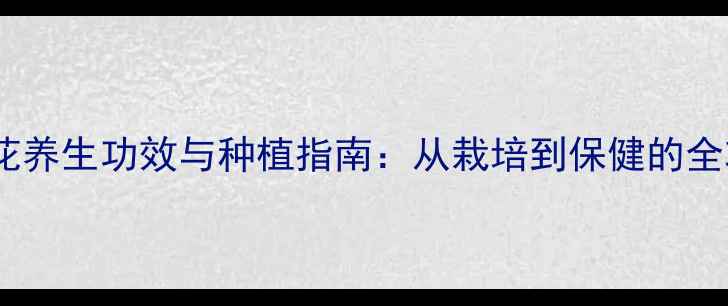 图片 茉莉花养生功效与种植指南：从栽培到保健的全攻略1