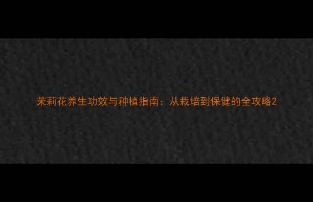 图片 茉莉花养生功效与种植指南：从栽培到保健的全攻略2