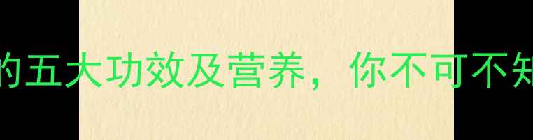 图片 茶树菇养生必知的五大功效及营养，你不可不知的天然健康密码