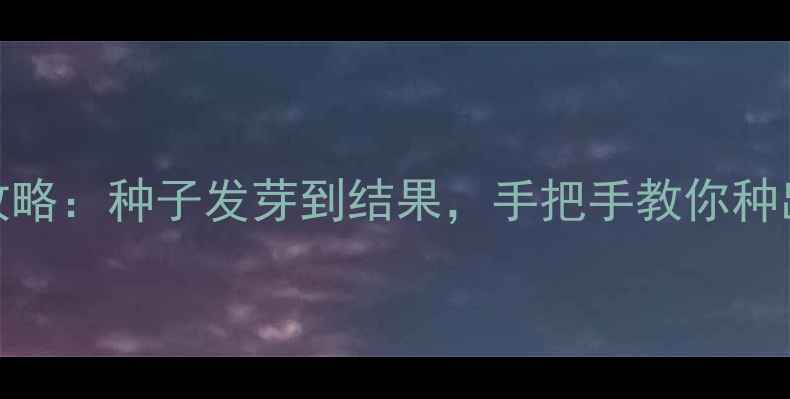 图片 荔枝养生全攻略：种子发芽到结果，手把手教你种出健康果🍒✨