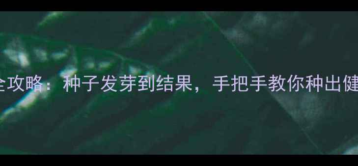 图片 荔枝养生全攻略：种子发芽到结果，手把手教你种出健康果🍒✨1
