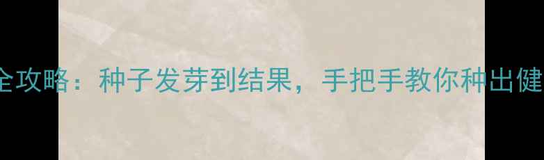 图片 荔枝养生全攻略：种子发芽到结果，手把手教你种出健康果🍒✨2
