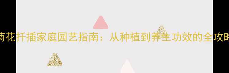 图片 菊花扦插家庭园艺指南：从种植到养生功效的全攻略