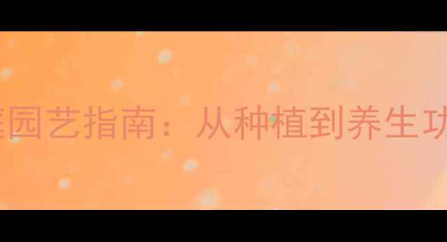 图片 菊花扦插家庭园艺指南：从种植到养生功效的全攻略1