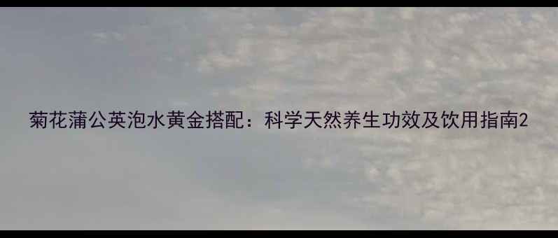 图片 菊花蒲公英泡水黄金搭配：科学天然养生功效及饮用指南2