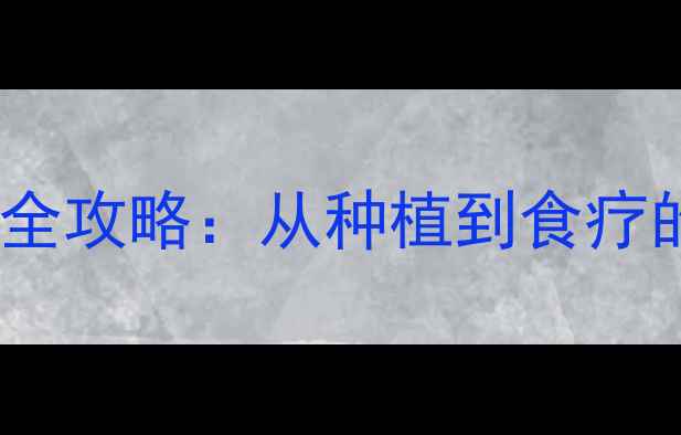 图片 菠萝种植与养生全攻略：从种植到食疗的天然健康指南1