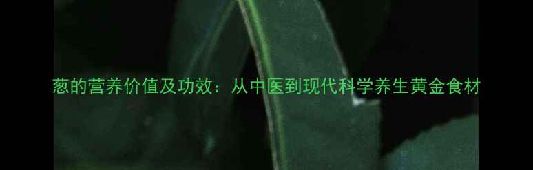 图片 葱的营养价值及功效：从中医到现代科学养生黄金食材
