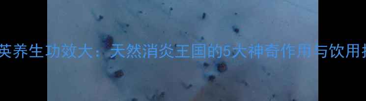 图片 蒲公英养生功效大：天然消炎王国的5大神奇作用与饮用指南1
