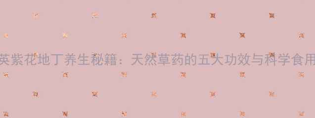 图片 蒲公英紫花地丁养生秘籍：天然草药的五大功效与科学食用指南