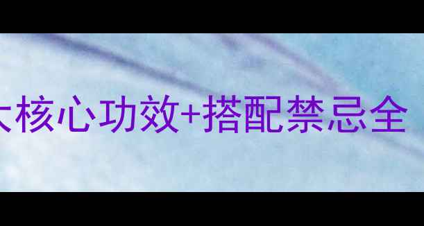图片 蒲公英配毛草根：3大核心功效+搭配禁忌全（附科学食用指南）2