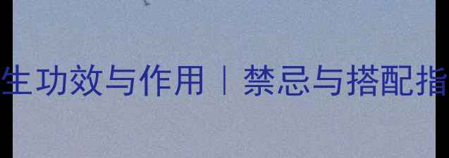 图片 西洋参的10大养生功效与作用｜禁忌与搭配指南｜附食用方法