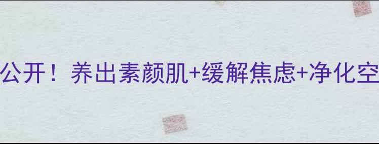 图片 观音莲功效大公开！养出素颜肌+缓解焦虑+净化空气的万能多肉