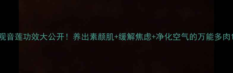 图片 观音莲功效大公开！养出素颜肌+缓解焦虑+净化空气的万能多肉1