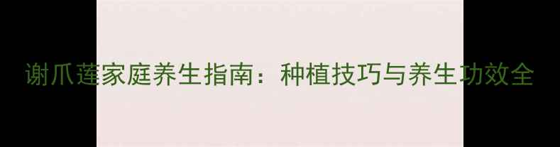 图片 谢爪莲家庭养生指南：种植技巧与养生功效全