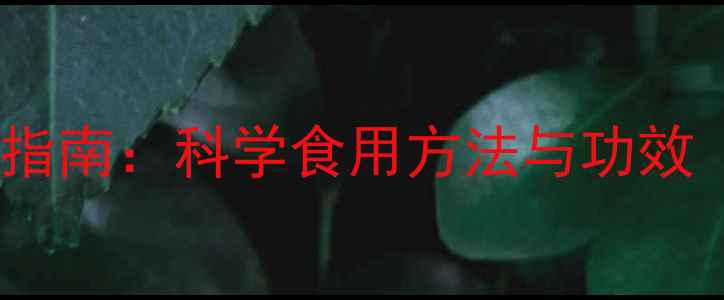 图片 赖木子养生指南：科学食用方法与功效（附食谱）1