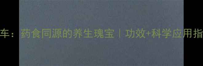 图片 赤车：药食同源的养生瑰宝｜功效+科学应用指南