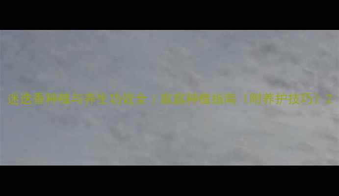 图片 迷迭香种植与养生功效全｜家庭种植指南（附养护技巧）2