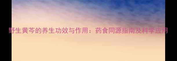图片 野生黄芩的养生功效与作用：药食同源指南及科学应用