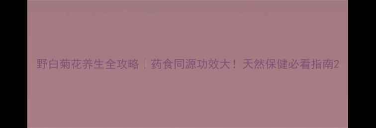 图片 野白菊花养生全攻略｜药食同源功效大！天然保健必看指南2